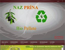 Tablet Screenshot of nazprina.com